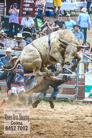 CoomaRodeo2018_4749
