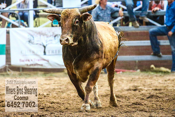 CoomaRodeo2018_4865