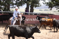 NimmitabelCampHailey_0054