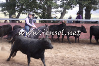 NimmitabelCampHailey_0045