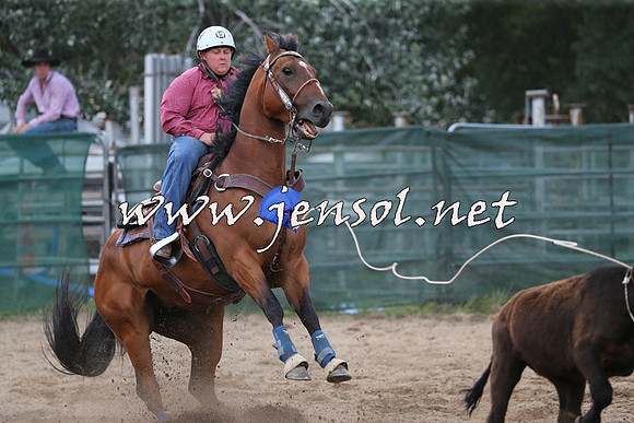 CoomaRodeo2015_2060