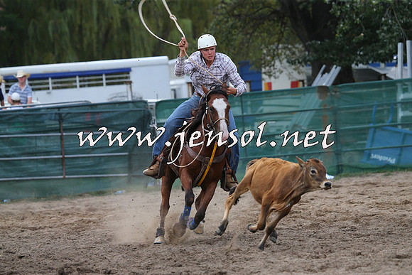 CoomaRodeo2015_2065