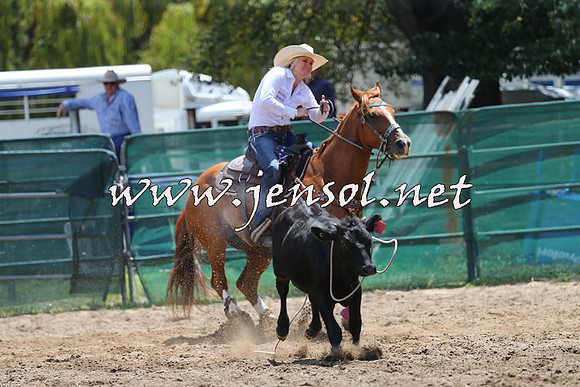 CoomaRodeo2015_0499