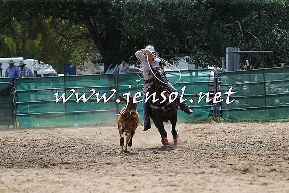 CoomaRodeo2015_1096