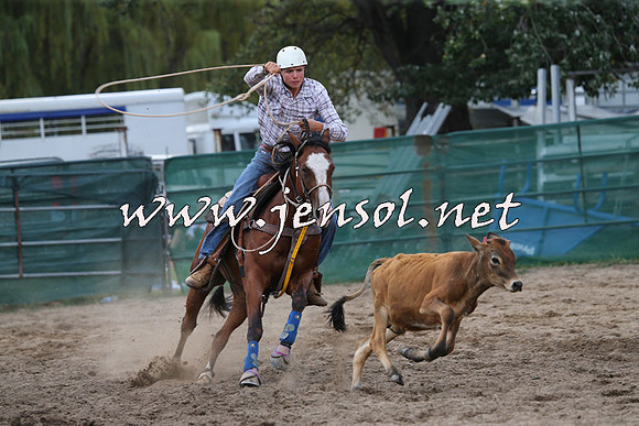 CoomaRodeo2015_2064