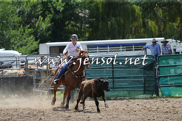 CoomaRodeo2015_1070