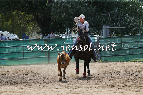 CoomaRodeo2015_1094
