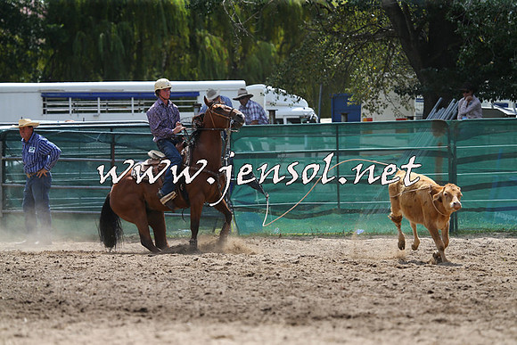 CoomaRodeo2015_1101