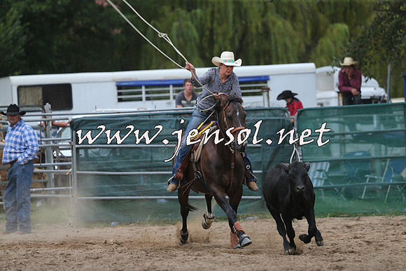 CoomaRodeo2015_2675