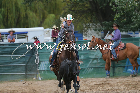 CoomaRodeo2015_2671