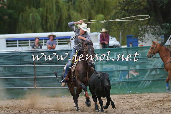 CoomaRodeo2015_2668