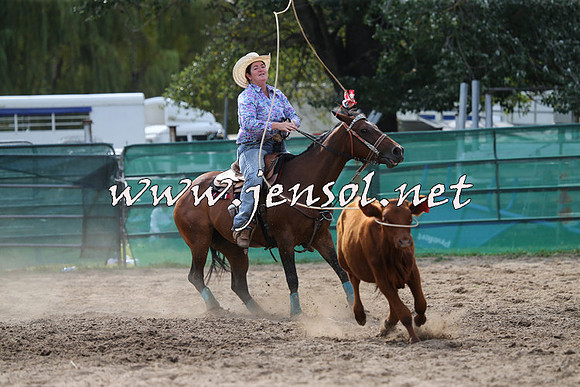 CoomaRodeo2015_1884
