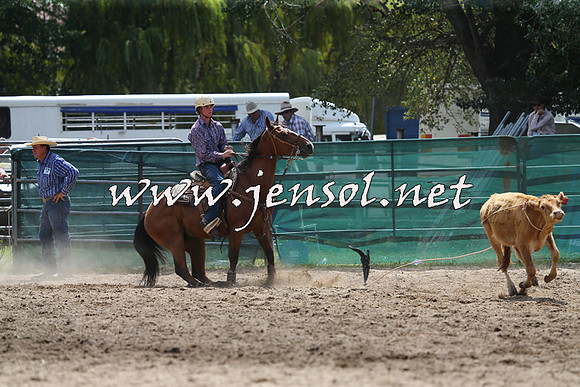 CoomaRodeo2015_1102
