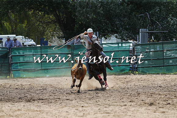 CoomaRodeo2015_1095