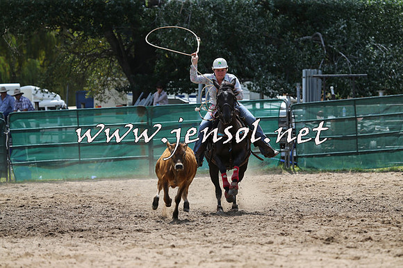 CoomaRodeo2015_1097