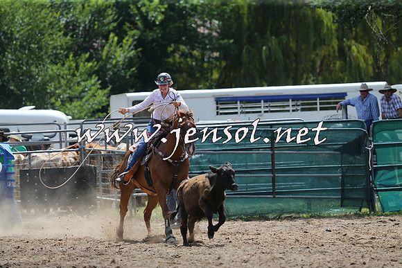 CoomaRodeo2015_1069