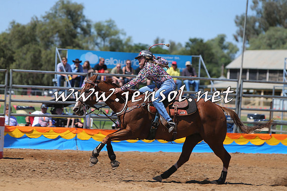 ForbesRodeo2015_0614