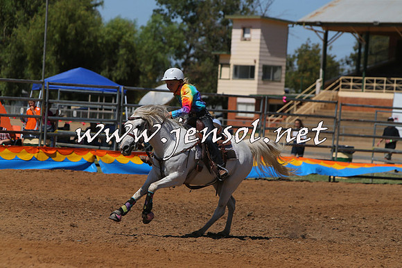 ForbesRodeo2015_0471