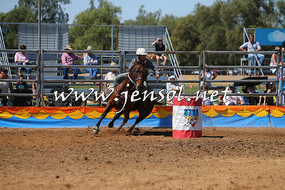 ForbesRodeo2015_0488