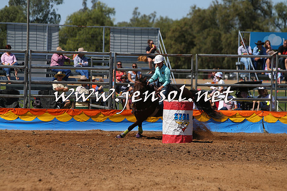 ForbesRodeo2015_0539