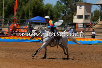 ForbesRodeo2015_0468