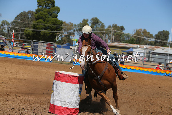 ForbesRodeo2015_0496