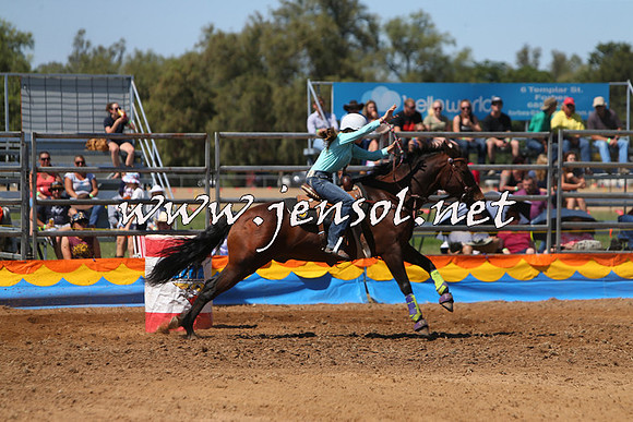 ForbesRodeo2015_0543