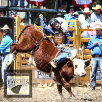 QueanbeyanRodeo2018_3413