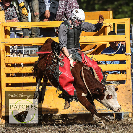 QueanbeyanRodeo2018_5456