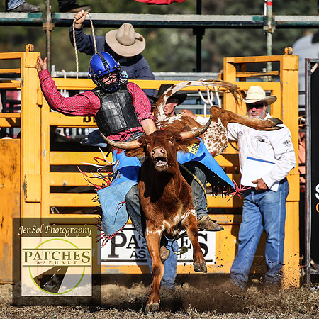 QueanbeyanRodeo2018_5371