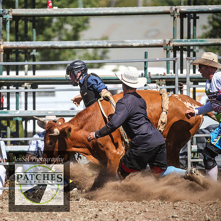 QueanbeyanRodeo2018_4138