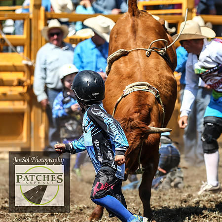 QueanbeyanRodeo2018_3599