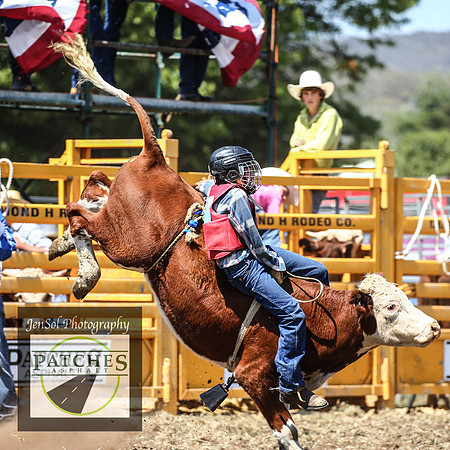 QueanbeyanRodeo2018_3367