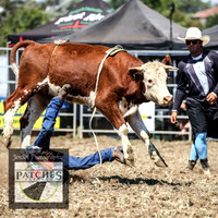 QueanbeyanRodeo2018_3383