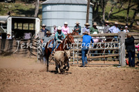 CabanandraCampdraft2016_2878