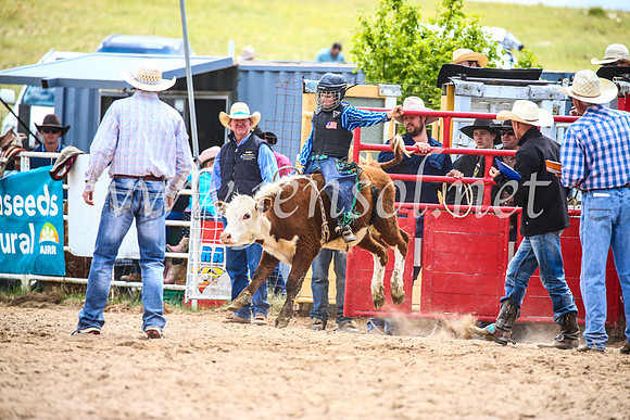 BungendoreRodeo2017_1557