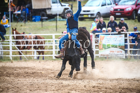 BungendoreRodeo2017_2039