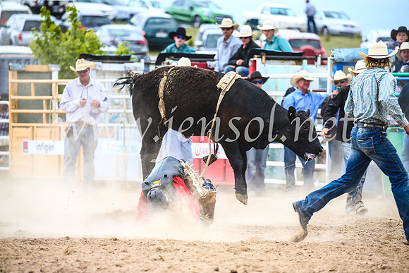 BungendoreRodeo2017_2885