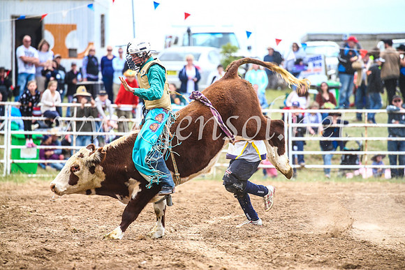 BungendoreRodeo2017_2061