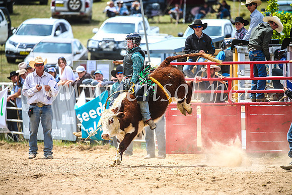 BungendoreRodeo2017_2818