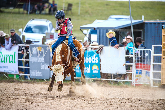 BungendoreRodeo2017_1572
