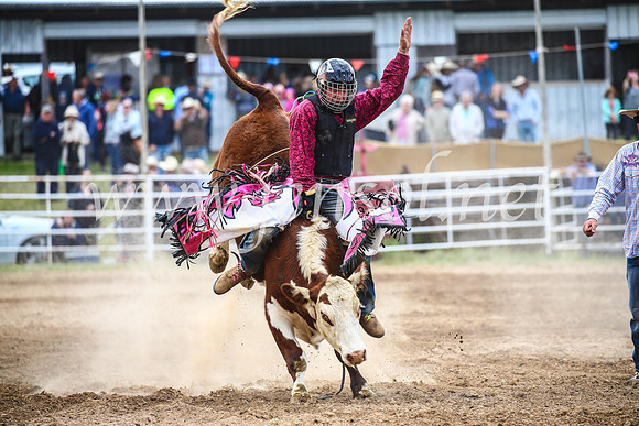 BungendoreRodeo2017_2019