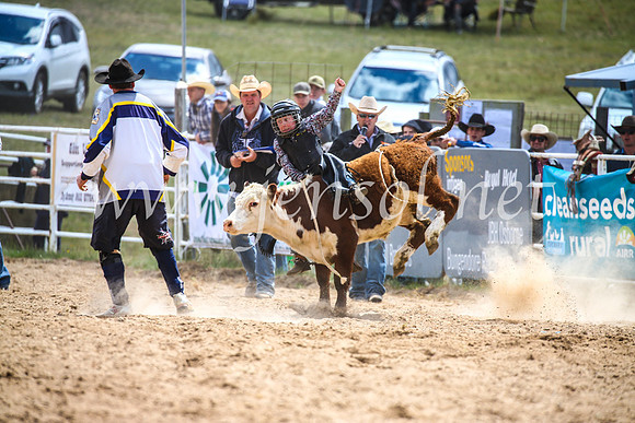 BungendoreRodeo2017_1545