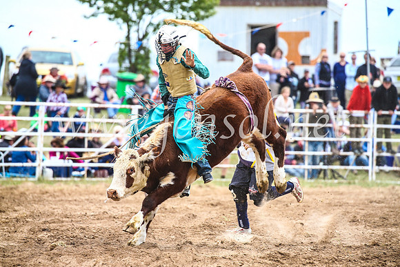 BungendoreRodeo2017_2072