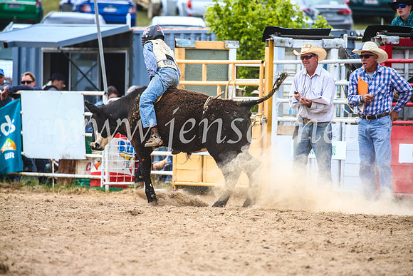 BungendoreRodeo2017_2894