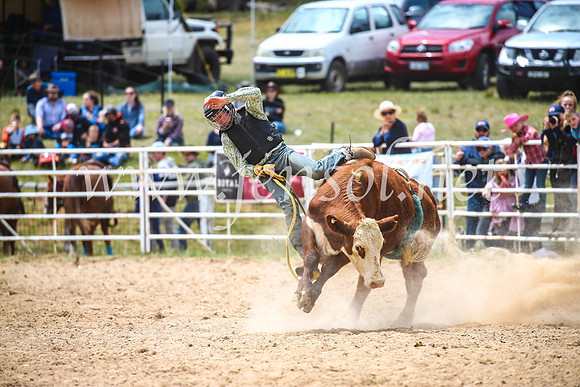 BungendoreRodeo2017_2735