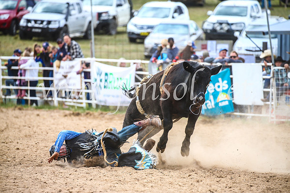 BungendoreRodeo2017_2785