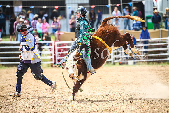 BungendoreRodeo2017_2836