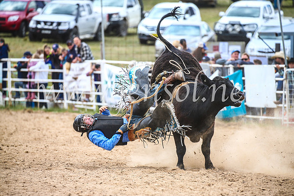 BungendoreRodeo2017_2774