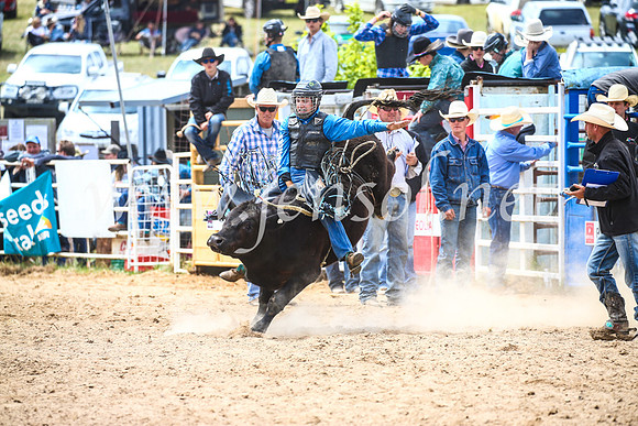 BungendoreRodeo2017_2787